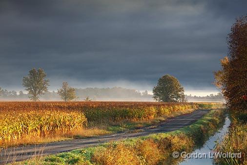 Field Road_09015.jpg - Photographed near Carleton Place, Ontario, Canada.